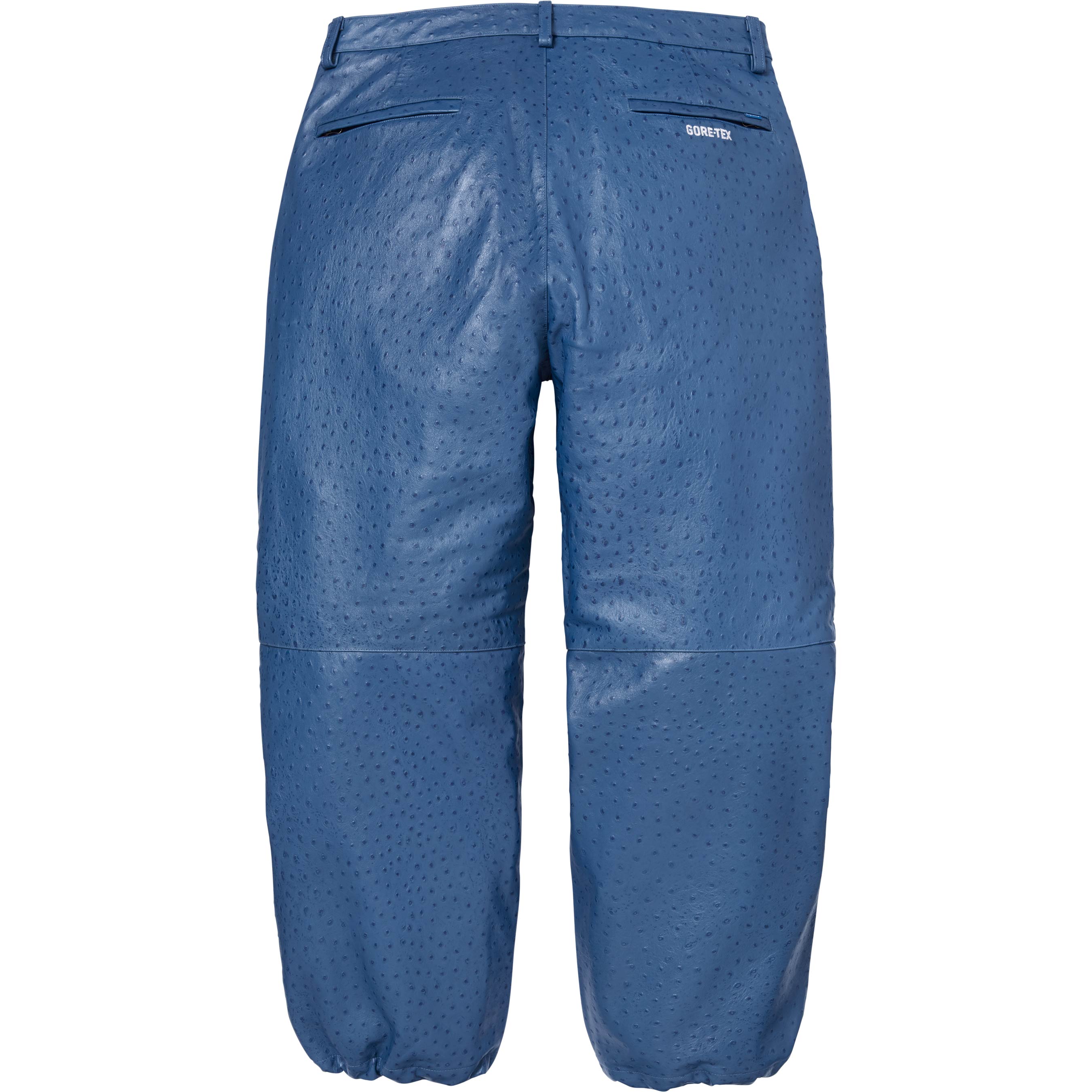 GORE-TEX Ostrich Embossed Leather Pant view 8
